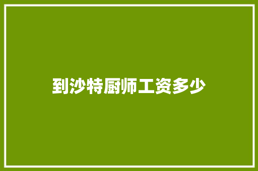 到沙特厨师工资多少 演讲稿范文