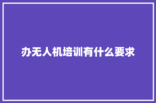 办无人机培训有什么要求