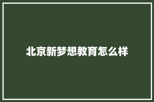 北京新梦想教育怎么样