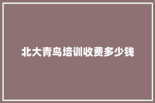 北大青鸟培训收费多少钱