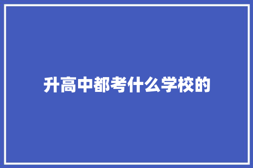 升高中都考什么学校的