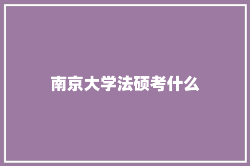 南京大学法硕考什么 综述范文