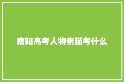 南阳高考人物素描考什么 会议纪要范文