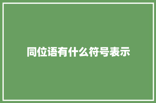 同位语有什么符号表示 论文范文