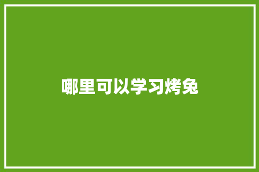 哪里可以学习烤兔 论文范文