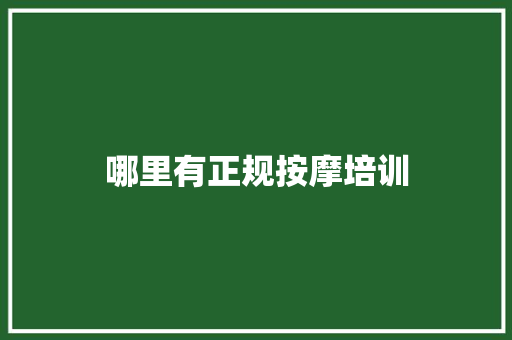 哪里有正规按摩培训 会议纪要范文