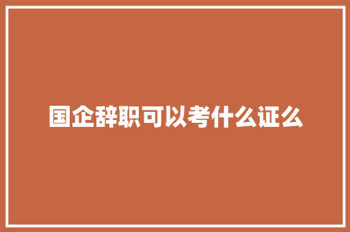 国企辞职可以考什么证么