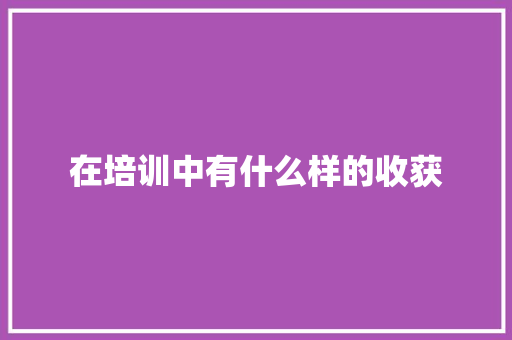 在培训中有什么样的收获