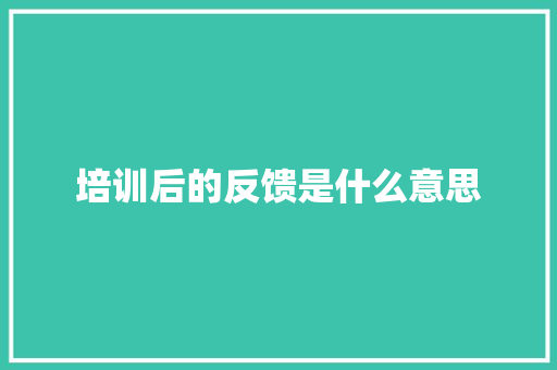 培训后的反馈是什么意思