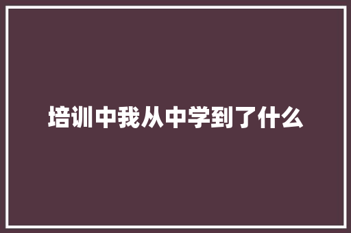 培训中我从中学到了什么