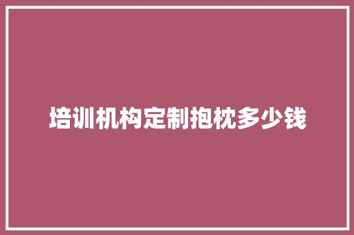 培训机构定制抱枕多少钱