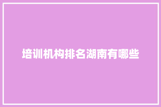 培训机构排名湖南有哪些 申请书范文