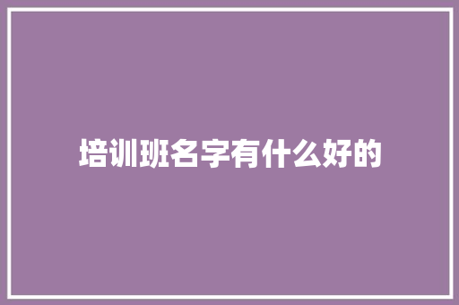 培训班名字有什么好的