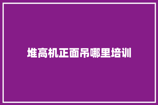 堆高机正面吊哪里培训 论文范文