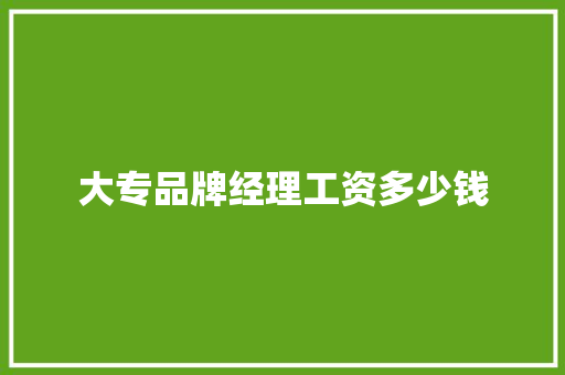 大专品牌经理工资多少钱