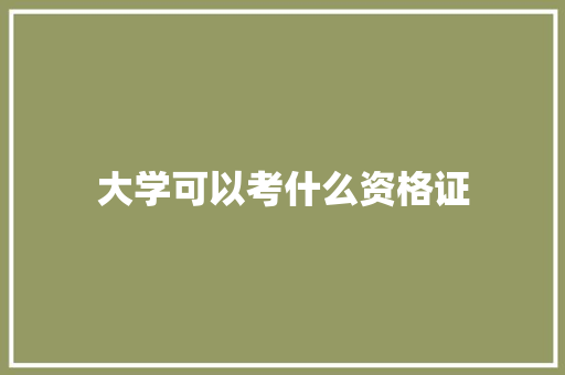 大学可以考什么资格证