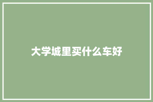 大学城里买什么车好