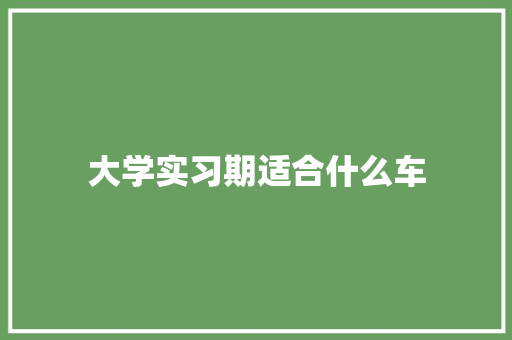 大学实习期适合什么车 学术范文