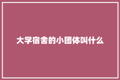 大学宿舍的小团体叫什么 论文范文