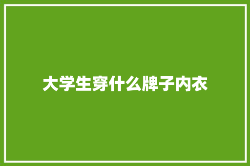 大学生穿什么牌子内衣 申请书范文