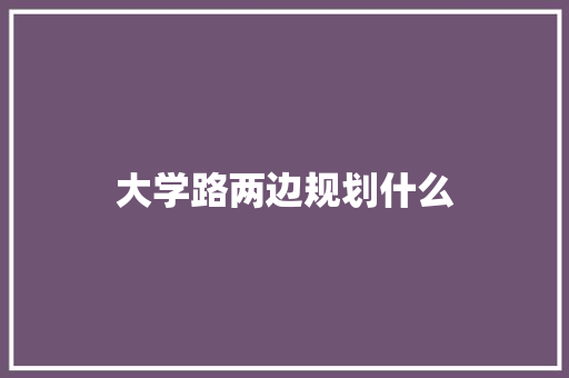 大学路两边规划什么 综述范文