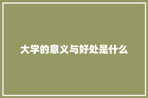 大学的意义与好处是什么 工作总结范文