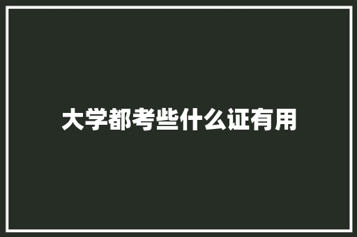 大学都考些什么证有用 论文范文