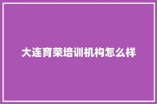 大连育荣培训机构怎么样