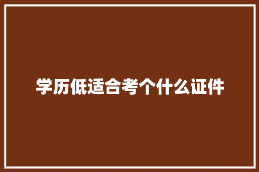 学历低适合考个什么证件