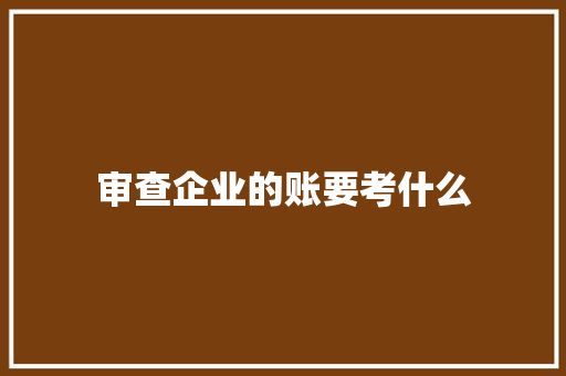 审查企业的账要考什么 会议纪要范文