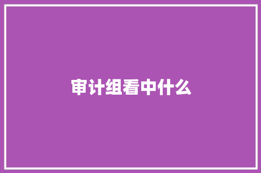 审计组看中什么 工作总结范文