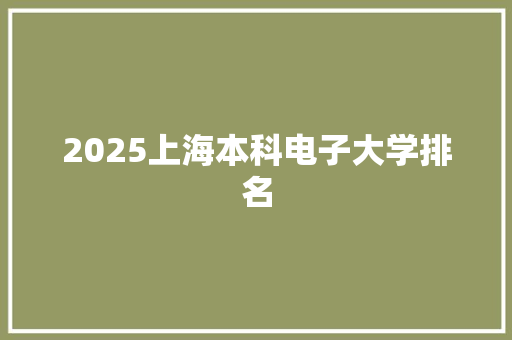 2025上海本科电子大学排名