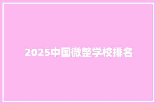 2025中国微整学校排名 会议纪要范文