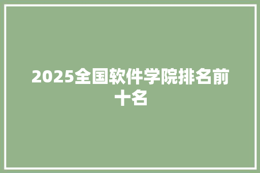 2025全国软件学院排名前十名