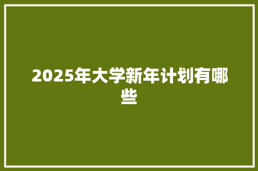 2025年大学新年计划有哪些 未命名