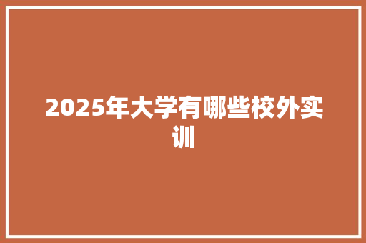 2025年大学有哪些校外实训