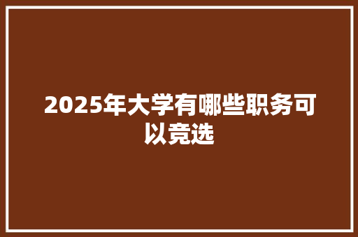 2025年大学有哪些职务可以竞选