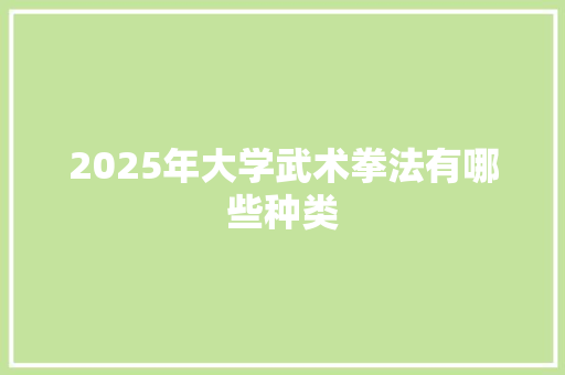 2025年大学武术拳法有哪些种类