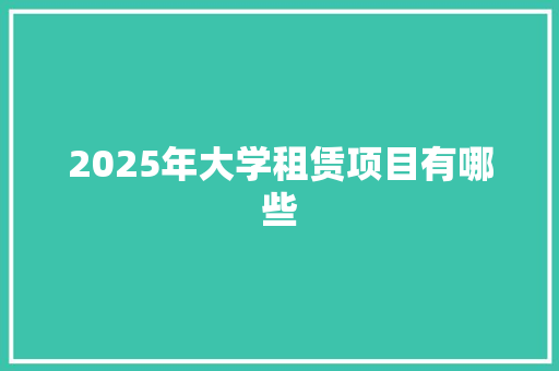 2025年大学租赁项目有哪些