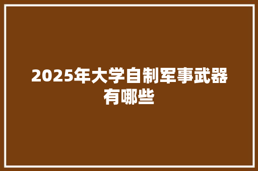 2025年大学自制军事武器有哪些 未命名