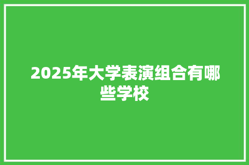 2025年大学表演组合有哪些学校