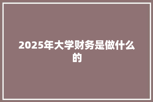 2025年大学财务是做什么的