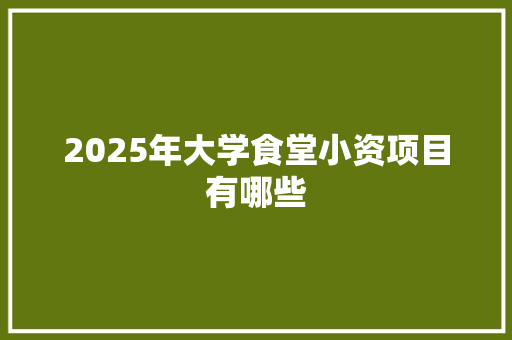 2025年大学食堂小资项目有哪些