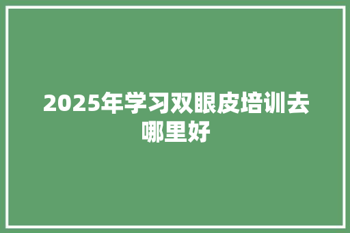 2025年学习双眼皮培训去哪里好