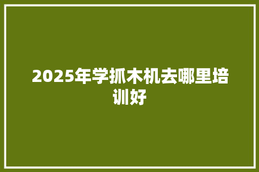 2025年学抓木机去哪里培训好 未命名