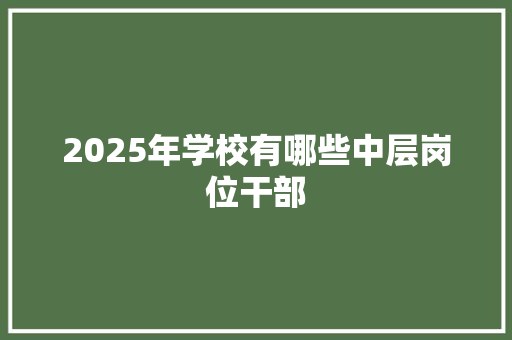 2025年学校有哪些中层岗位干部