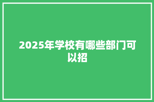 2025年学校有哪些部门可以招 未命名