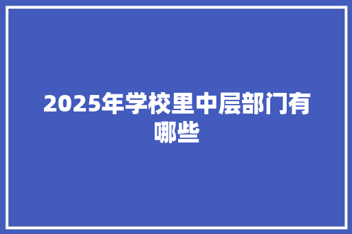 2025年学校里中层部门有哪些