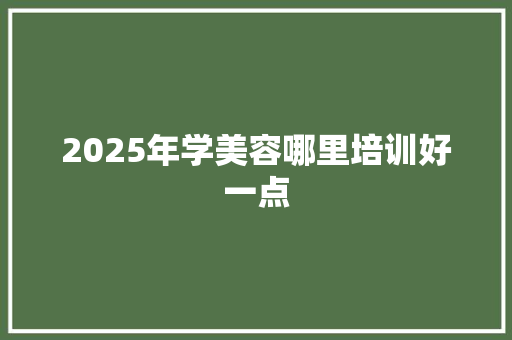 2025年学美容哪里培训好一点 未命名