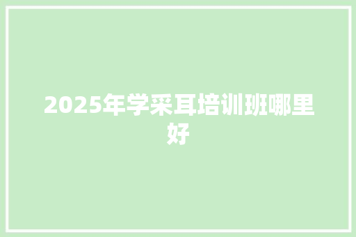 2025年学采耳培训班哪里好